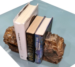 Держатель книг из Окаменелого дерева фото 4972